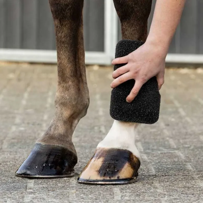 Eponge super shiner QHP