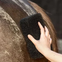 Eponge super shiner QHP