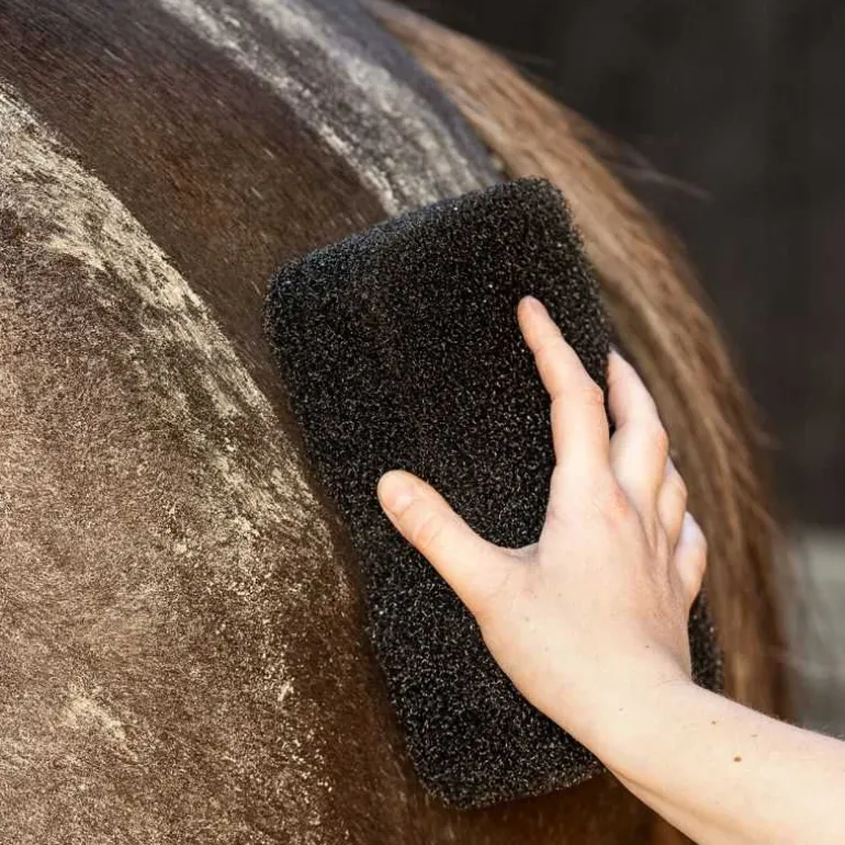 Eponge super shiner QHP