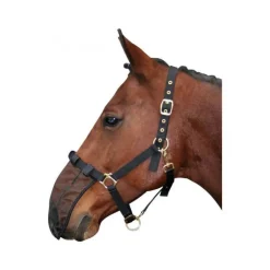 Filet pour naseaux Harry's Horse