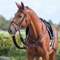 Fourreaux de rênes QHP