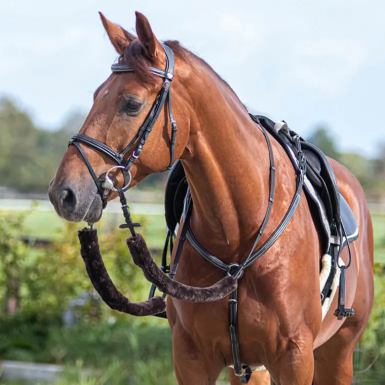 Fourreaux de rênes QHP