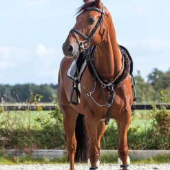 Fourreaux de rênes QHP