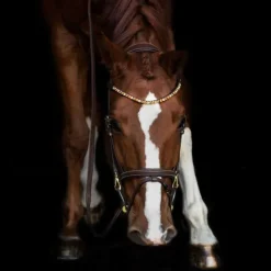 Frontal avec Strass HFI Master