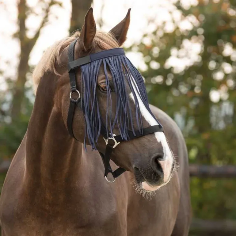 Frontal Chasse Mouche Q-Essentials Bleu