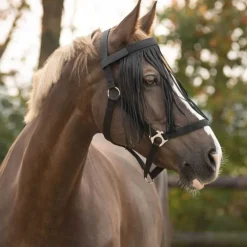 Frontal Chasse Mouche Q-Essentials Noir