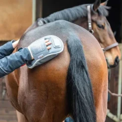 Gant de massage chauffant Equilibrium