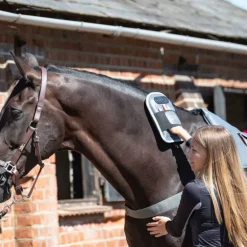 Gant de massage Equilibrium