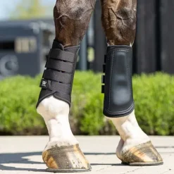 Guetres Simple Brushing Woof Wear - nouveau modèle