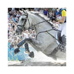 Guêtres de cross antérieurs Air Cooled Premier Equine