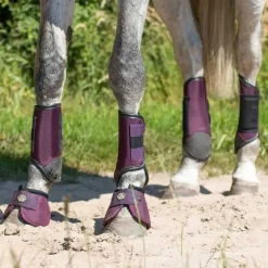 Guêtres de Cross postérieurs technical QHP