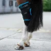 Guêtres de soin pour jarrets Ice-Vibe Horseware