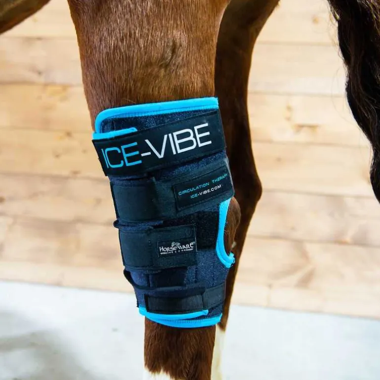 Guêtres de soin pour jarrets Ice-Vibe Horseware