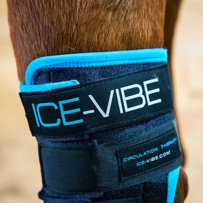 Guêtres de soin pour jarrets Ice-Vibe Horseware
