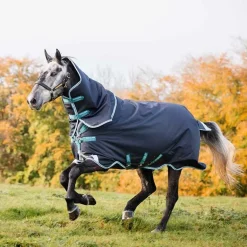 Horseware couverture d'hiver 250g avec cou Amigo Bravo 12 Plus Medium