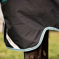 Horseware couverture d'hiver 250g avec cou Amigo Bravo 12 Plus Medium