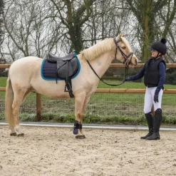 Housse pour gilet de protection Glitter QHP