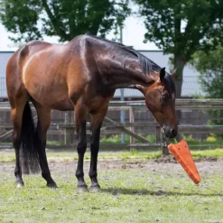 Jouet pour cheval XL QHP