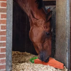 Jouet pour cheval XL QHP