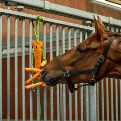 Jouet pour chevaux avec filet à foin QHP