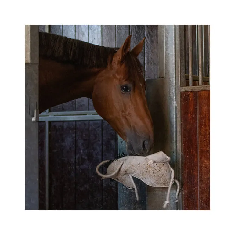 Jouet pour chevaux QHP