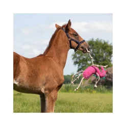 Jouet pour chevaux QHP