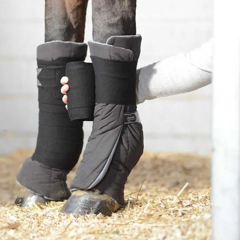 Kit de repos antérieurs Veredus - bandes B-rest et sous bandes anatomic