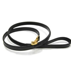 Laisse pour chien tressée Chetak