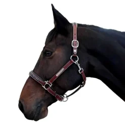 Licol Aachen Flags&Cup