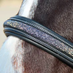 Licol Aachen Flags&Cup