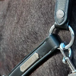 Licol Aachen Flags&Cup