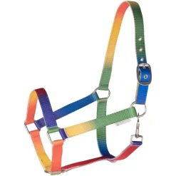 Licol arc en ciel Waldhausen