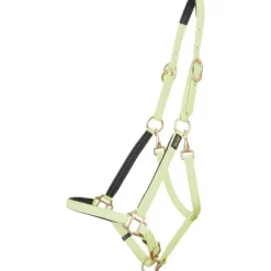 Licol Biotack T de T