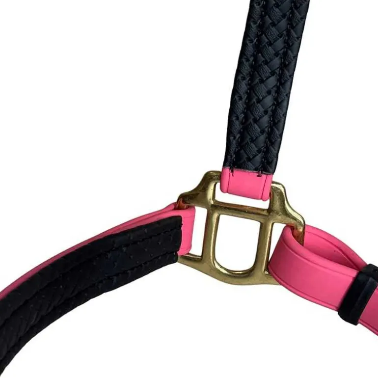 Licol Biotack T de T