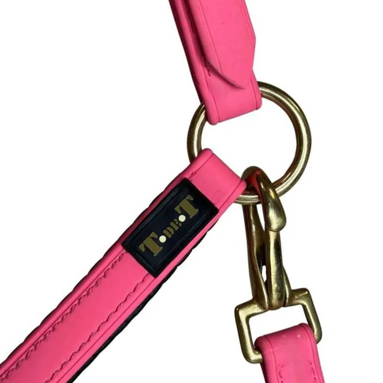 Licol Biotack T de T