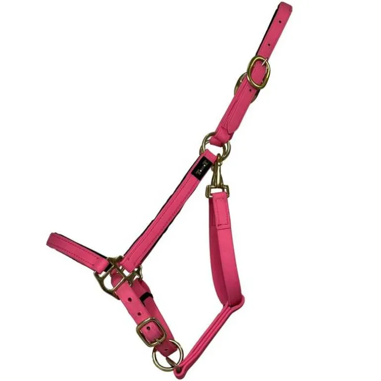 Licol Biotack T de T