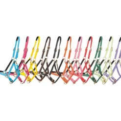 Licol Biotack T de T