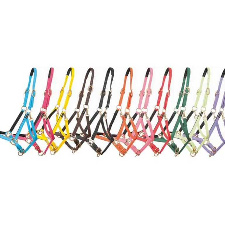 Licol Biotack T de T