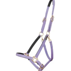 Licol Biotack T de T