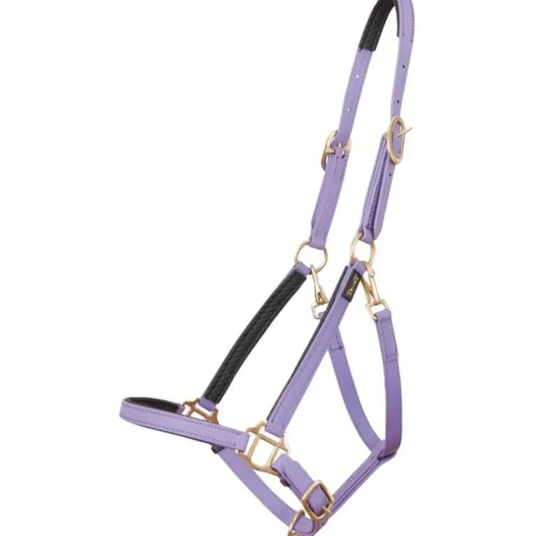 Licol Biotack T de T