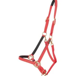 Licol Biotack T de T