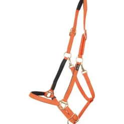 Licol Biotack T de T