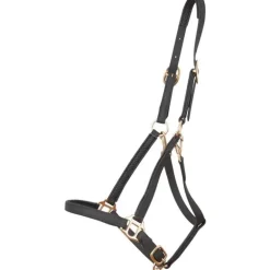 Licol Biotack T de T