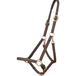 Licol Biotack T de T