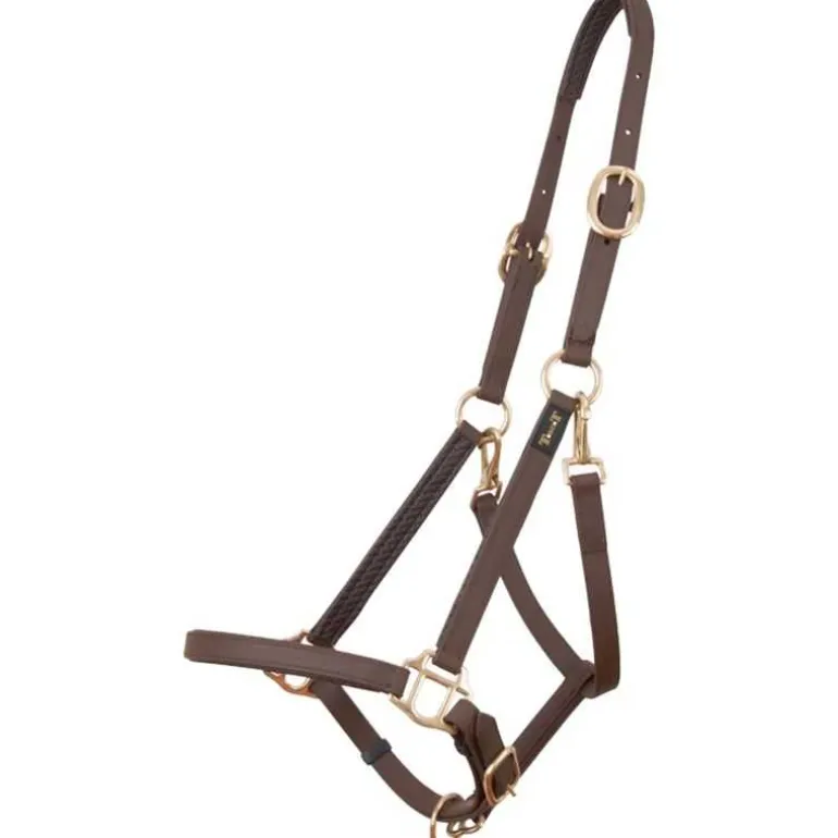 Licol Biotack T de T