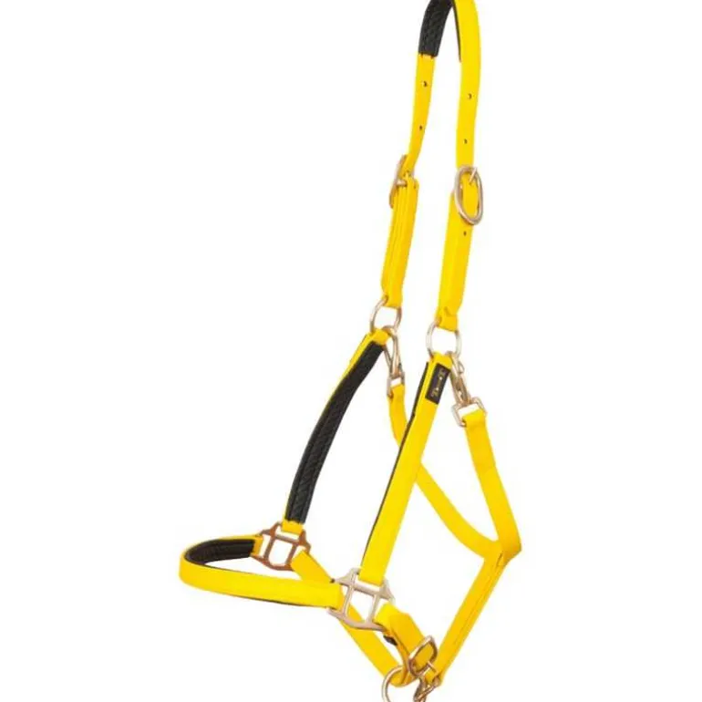 Licol Biotack T de T