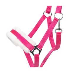 Licol Cali Q-Essentials