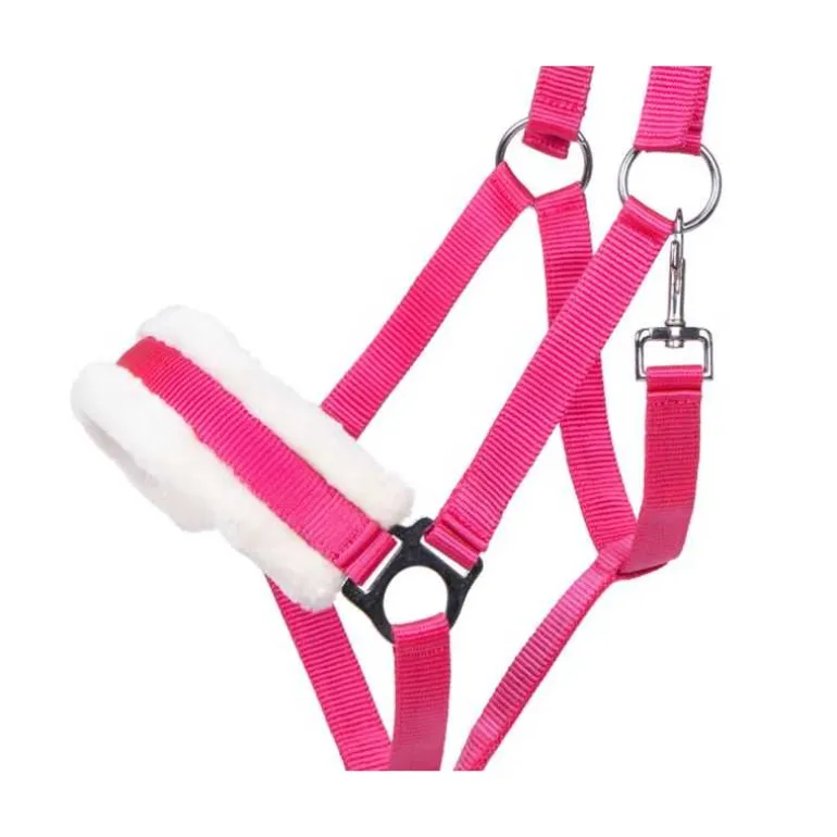 Licol Cali Q-Essentials