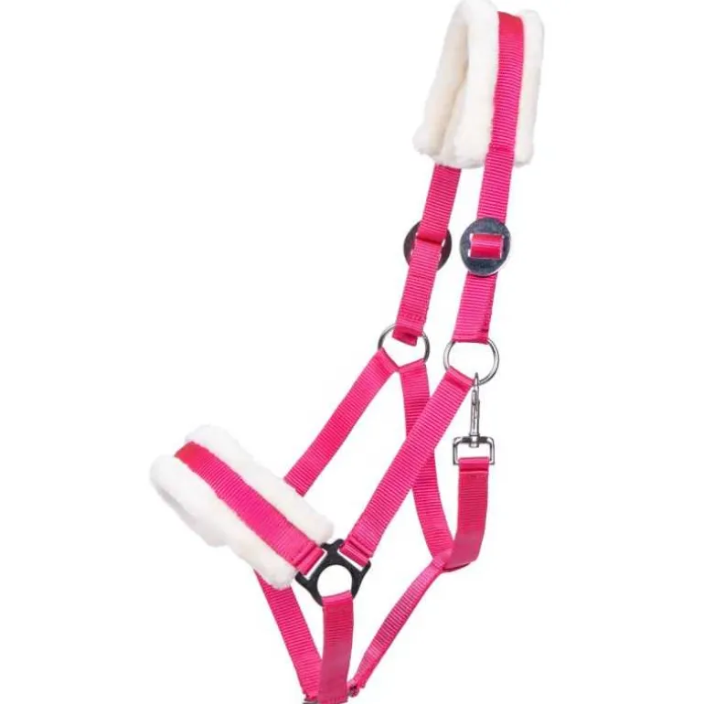 Licol Cali Q-Essentials