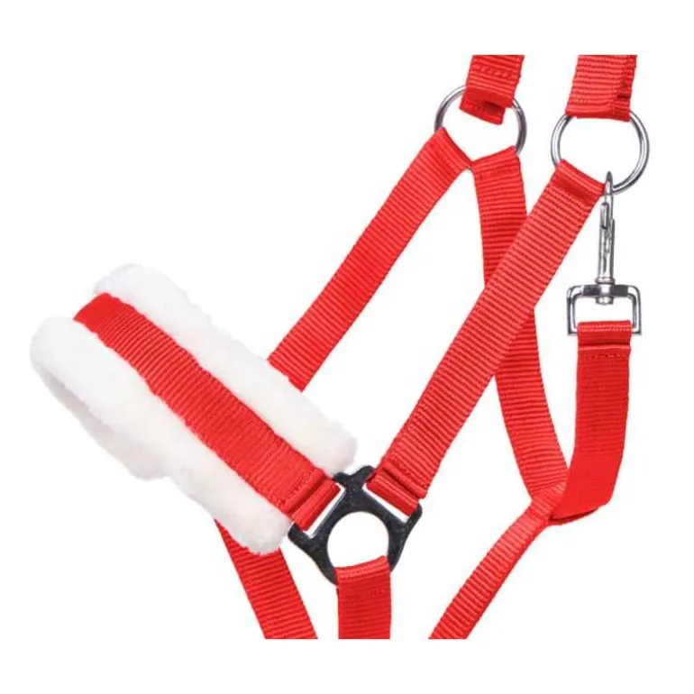 Licol Cali Q-Essentials